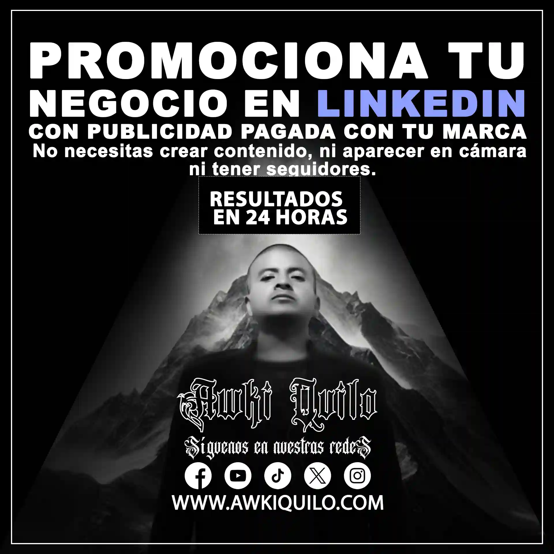Pulbicidad en Linkedin Pulbicidad en Linkedin